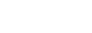 ryobi-300